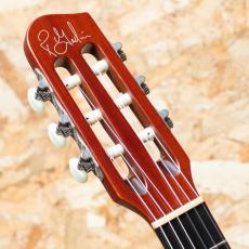 Godin Multiac ACS SA 2015_8