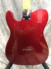 GrassRoots G-TE-50M_7