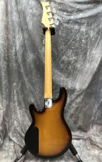 Three Dots Guitars FB_3