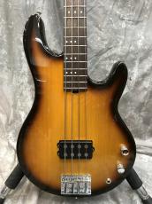Three Dots Guitars FB_5