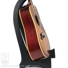 Gibson Dove_3