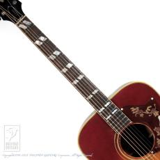Gibson Dove_5