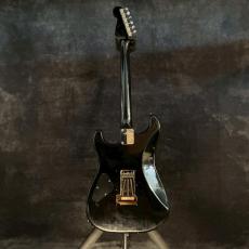 FERNANDES THE FUNCTION Black mod 【3.77kg】_5