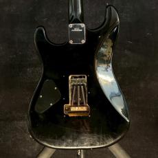 FERNANDES THE FUNCTION Black mod 【3.77kg】_6