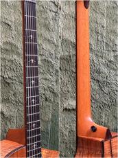 Taylor Catch Custom Guitar 2026 C22ce B6041 Florentine Cutaway -Figured Tasmanian Blackwood- #1202266085_8