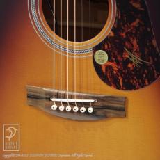 Maton Troubadour Dreadnought_12