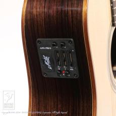 Maton EM100C Messiah_13
