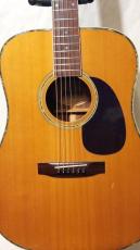 Morris W-30_2