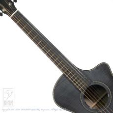 Breedlove Oregon Concertina Stormy Night CE_5