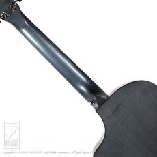 Breedlove Oregon Concertina Stormy Night CE_6