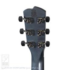 Breedlove Oregon Concertina Stormy Night CE_8