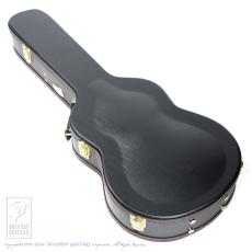 Breedlove Oregon Concertina Stormy Night CE_9