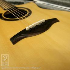 Luca Canteri Guitars 1 GC Standard Cutaway (Zilicote)_10