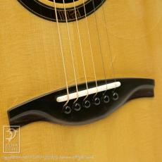 Luca Canteri Guitars 1 GC Standard Cutaway (Zilicote)_11