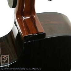 Luca Canteri Guitars 1 GC Standard Cutaway (Zilicote)_13