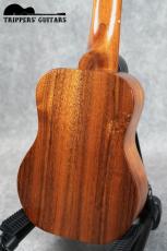 Kamaka HF-1 (1980-90年代)_5