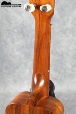 Kamaka HF-1 (1980-90年代)_9