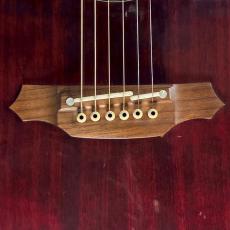 Takamine PTU508 WR 【2.2kg】_10