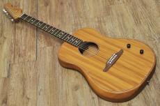 Fender Highway Series Dreadnought All Mahogany