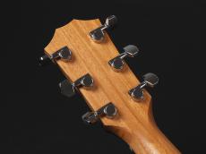 Taylor 117e LTD Blacktop_8