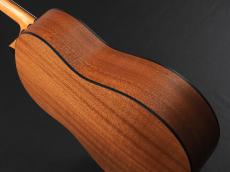 Taylor 117e LTD Blacktop_11