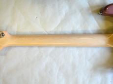 DEREK CUSTOM GUITAR Custom ST BGM_13