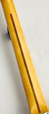 Fender 【超軽量】American Professional II Telecaster  -Butterscotch Blonde- #US23042558 ≒3.02kg_7