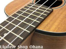 aNueNue [aNN-MCK] ミニコンサート ハワイアンコア合板_7