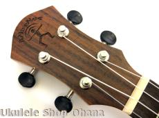 aNueNue [aNN-MCK] ミニコンサート ハワイアンコア合板_5