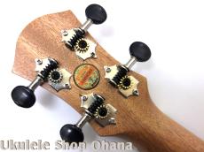 aNueNue [aNN-MCK] ミニコンサート ハワイアンコア合板_6