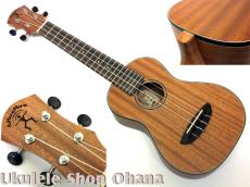 aNueNue [aNN-MCM] ミニコンサート マホガニー合板