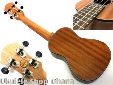 aNueNue [aNN-MCM] ミニコンサート マホガニー合板_2