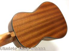 aNueNue [aNN-MCM] ミニコンサート マホガニー合板_4