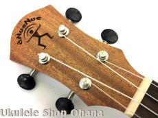 aNueNue [aNN-MCM] ミニコンサート マホガニー合板_5