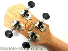 aNueNue [aNN-MCM] ミニコンサート マホガニー合板_6