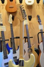 SCHECTER OL-ST-DH/VW/M_4