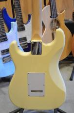 SCHECTER OL-ST-DH/VW/M_5