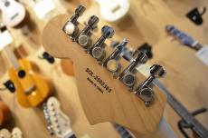SCHECTER OL-ST-DH/VW/M_8