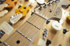 SCHECTER OL-ST-DH/VW/M_10