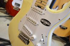 SCHECTER OL-ST-DH/VW/M_11