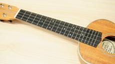 Lo Prinzi CK-C Concert koa_6