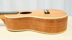 Lo Prinzi CK-C Concert koa_12