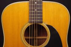 Martin D-28_8