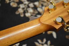 ASTURIAS GRAND SOLO PREMIO SR_11