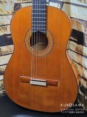 Conde Hermanos [コンデ・エルマノス] 1980年製 Felipe フェリーペ工房 Media Luna 杉・シープレス 658mm【日本総本店2F 在庫品】