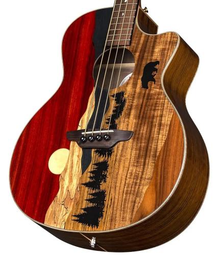 Luna Guitars Vista Bear Acoustic Bass A/E With Hardshell Case【オンラインストア限定】