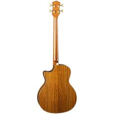 Luna Guitars Vista Bear Acoustic Bass A/E With Hardshell Case【オンラインストア限定】_4
