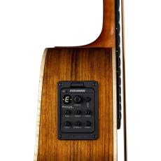 Luna Guitars Vista Bear Acoustic Bass A/E With Hardshell Case【オンラインストア限定】_5