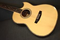 ASTURIAS TREE OF LIFE