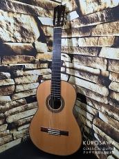 Tino Battiston ティノ・バティストン 2008年製 松・中南米ローズウッド 20フレット_2